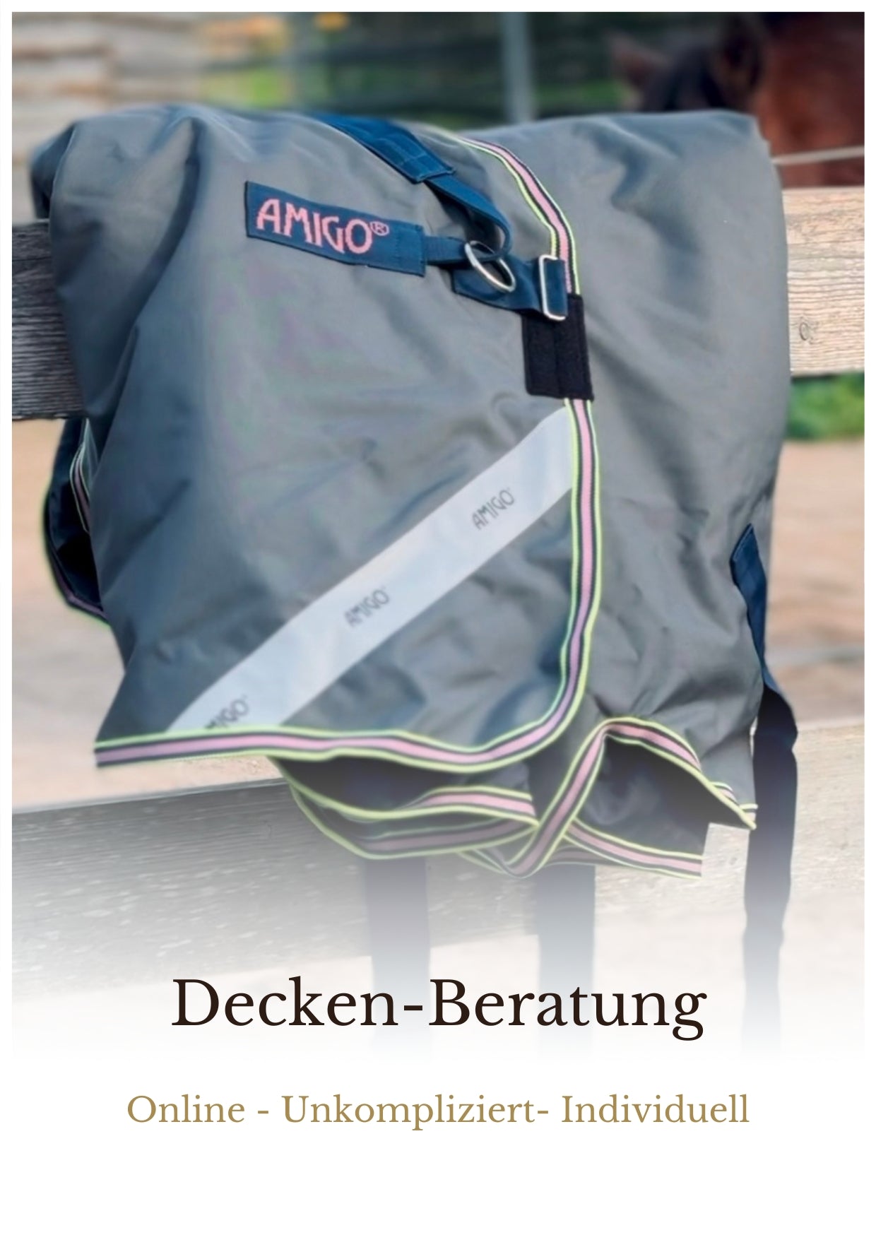 Online Decken-Beratung