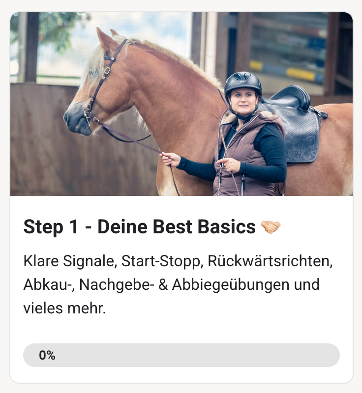 Skool-Kurs: Step 1 - Deine Best Basics