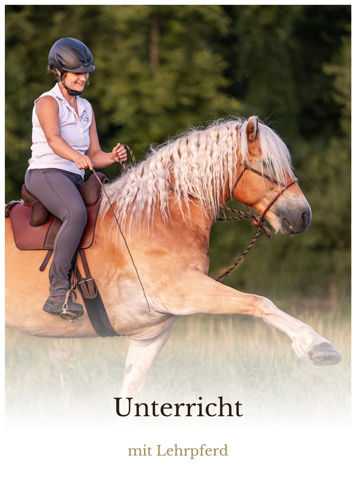 Unterricht mit Lehrpferd