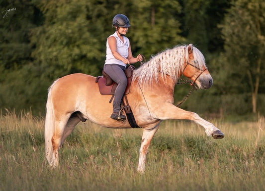 Zuschauerplatz "Seitengänge für Kraft & Balance - Basis verstehen & fühlen!"