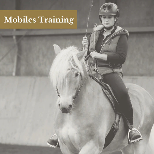 Mobiles Training