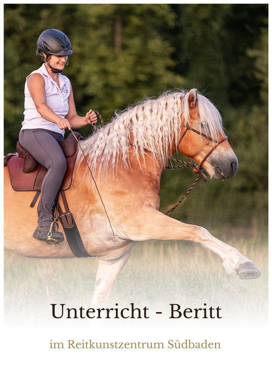 Unterricht & Beritt im Reitkunstzentrum