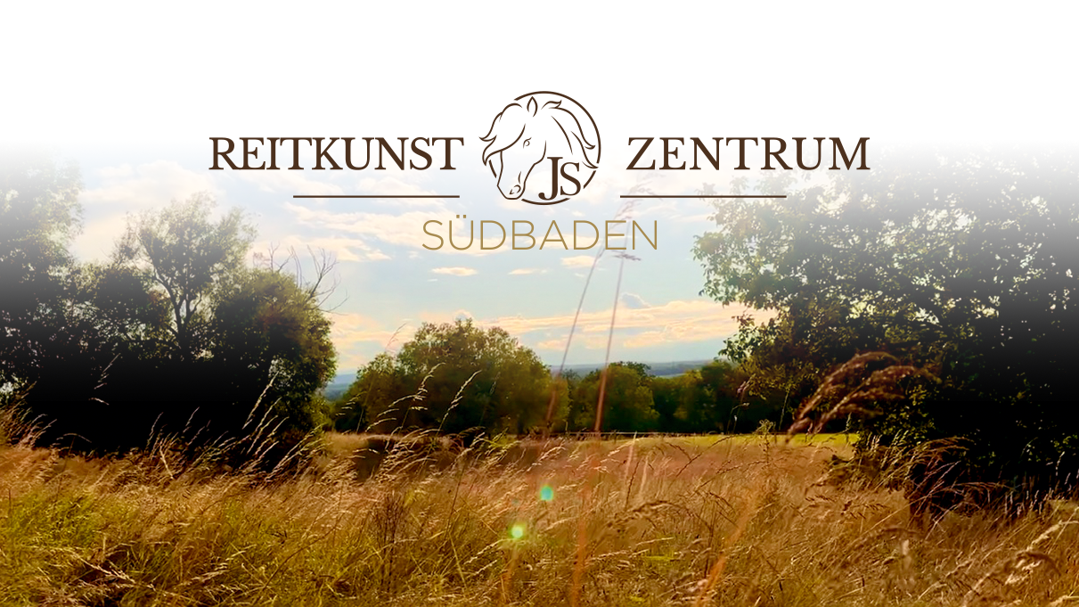 Teilnehmerplatz Reitkurs mit Diana Krischke